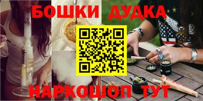 гидра Заводоуковск