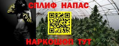 спайс Заволжье