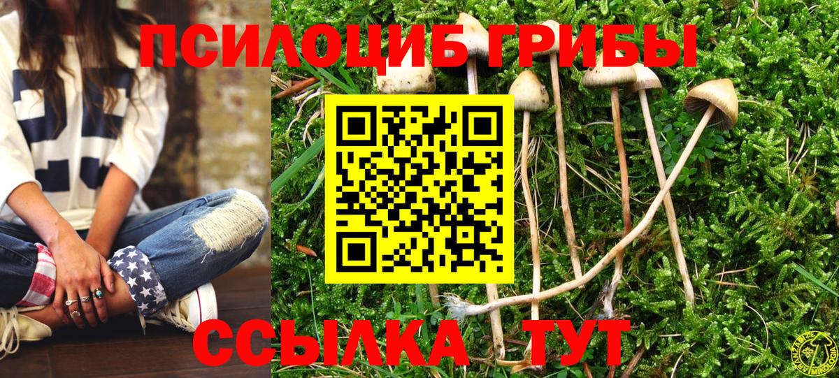 Галлюциногенные грибы прущие грибы  Вход с VPN  закладка  Людиново  Галлюциногенные грибы MAGIC MUSHROOMS 
